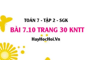 Bài 7.10 trang 30 Toán 7 Tập 2 Kết nối tri thức